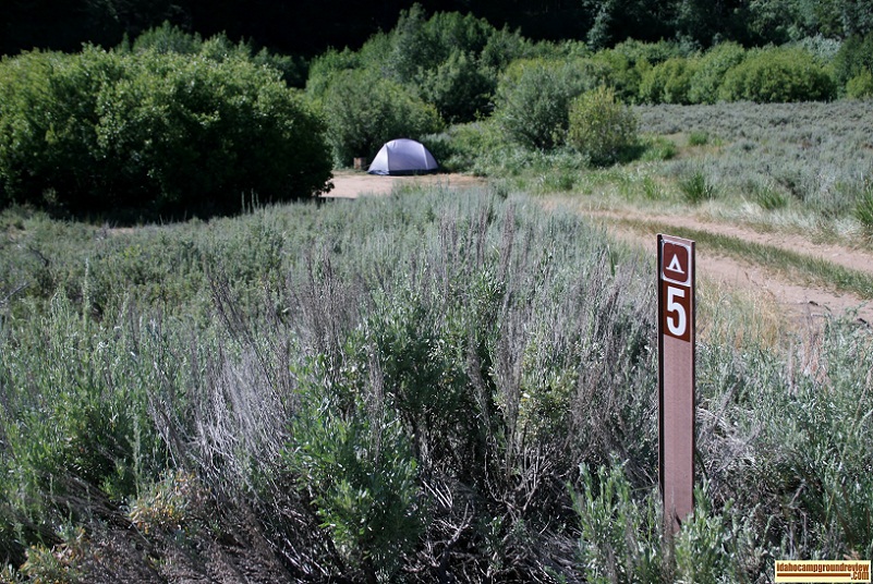 Deer Creek Campground near Ketchum, Idaho.