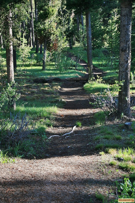 I am not sure how far this trail goes but you could find out!
