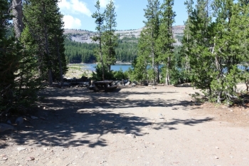 A picture of campsite number 1 in Oregons Driftwood Campground