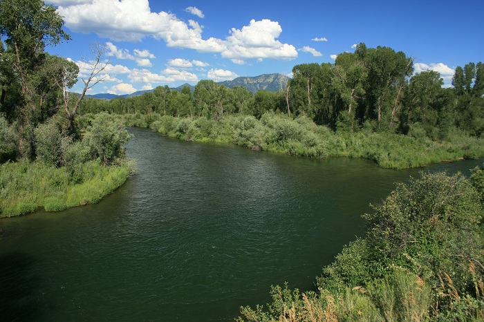 Falls Campground on the South Fork of the Snake River.