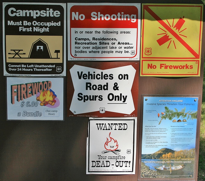 Falls Campground on the South Fork of the Snake River.