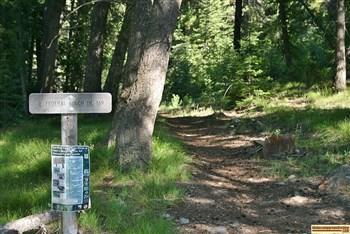 Federal Gulch Campground on the East Fork of the Big Wood River near Sun Valley, Idaho.