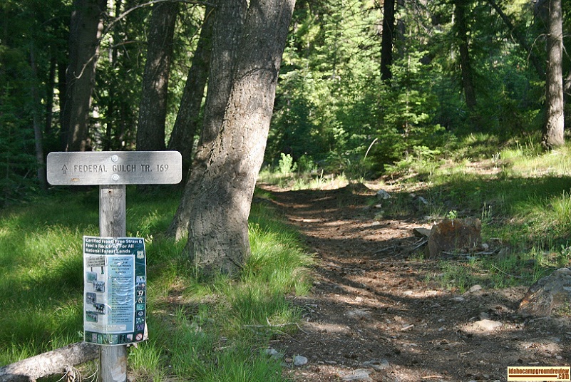 Federal Gulch Campground on the East Fork of the Big Wood River near Sun Valley, Idaho.
