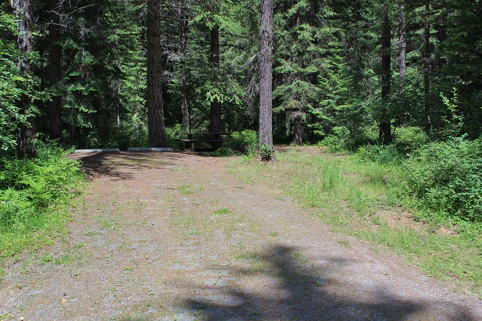 Fly Flat Campground on the St Joe River