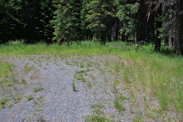 Fly Flat Campground on the St Joe River