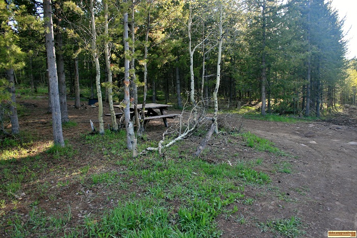 One of many campsites in FS Flats Campground.
