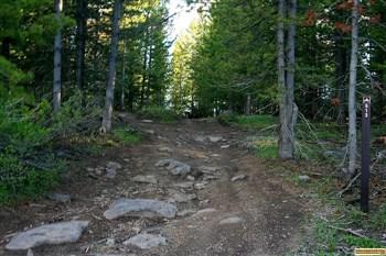 This the beginning of a trail at FS Flats Campground, there are many such trails in this area.