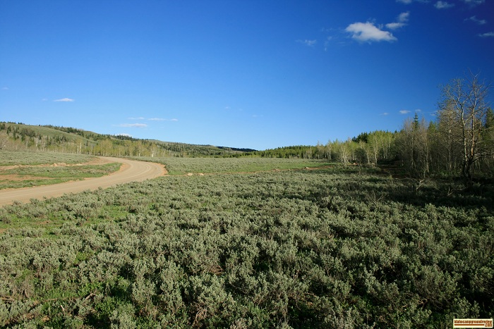 This a good view of the flats from near the entrance to the campground.