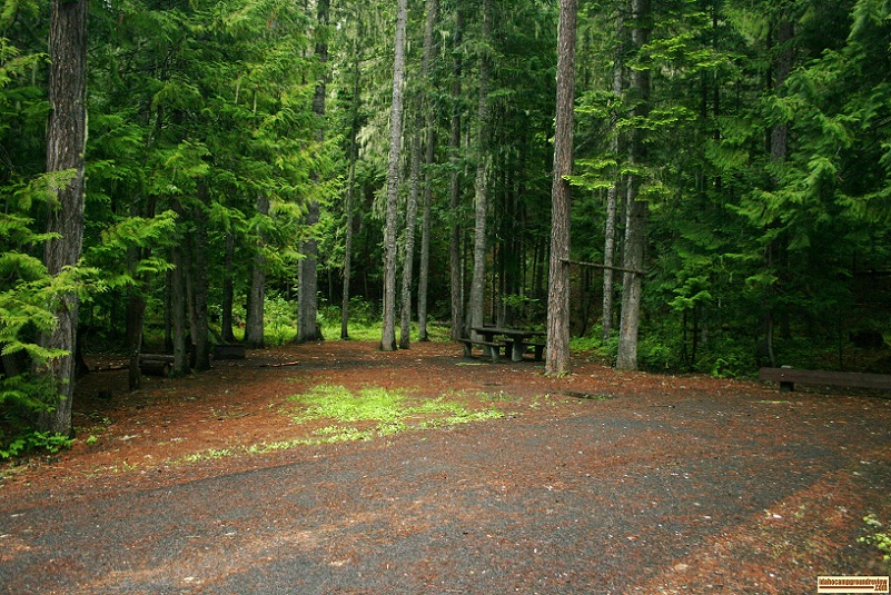 Giant Whitepine Campground RV camping site