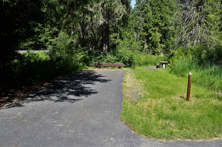 A picture of campsite number 5 in Giant White Pine Campground.