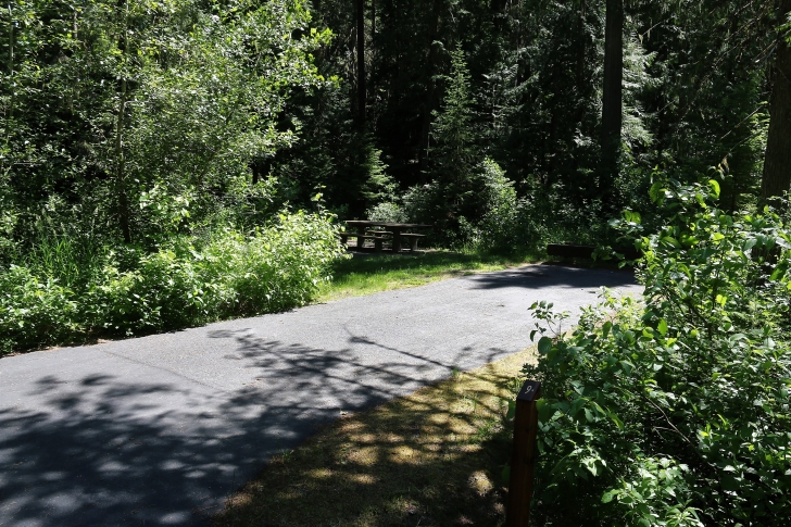 A picture of campsite number 9 in Giant White Pine Campground.
