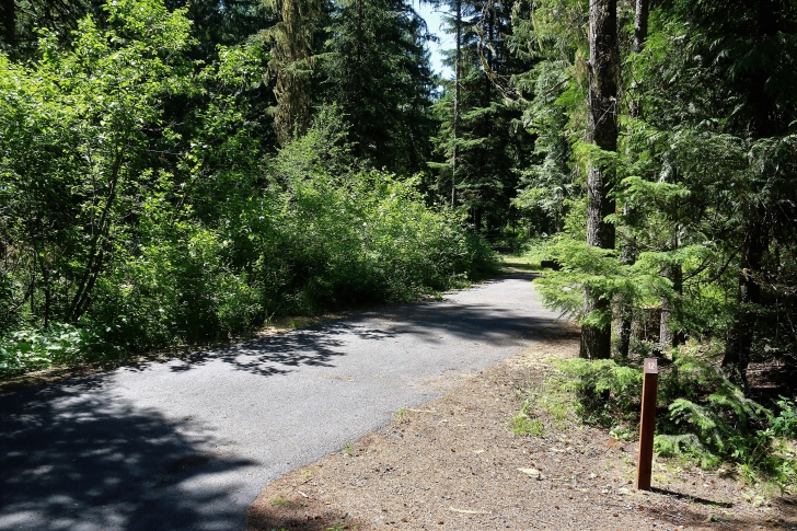 A picture of campsite number 12 in Giant White Pine Campground.
