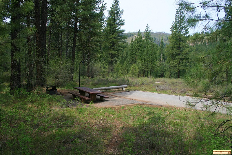 grayback gulch campground site