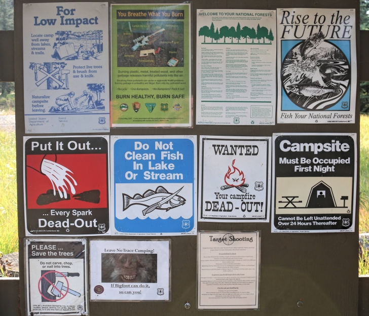 A guide to camping Grouse Campground on Goose Lake in Idaho