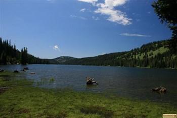 A guide to camping Grouse Campground on Goose Lake in Idaho
