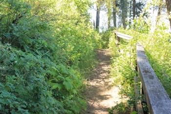 Hawleys Landing Campground - Recreation