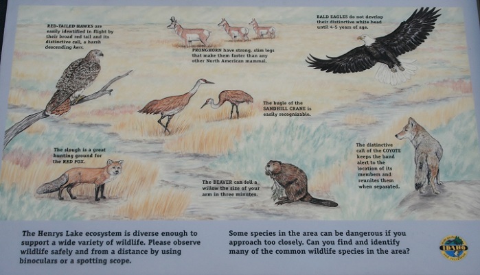 Henry's Lake State Park