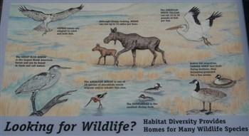 Henry's Lake State Park