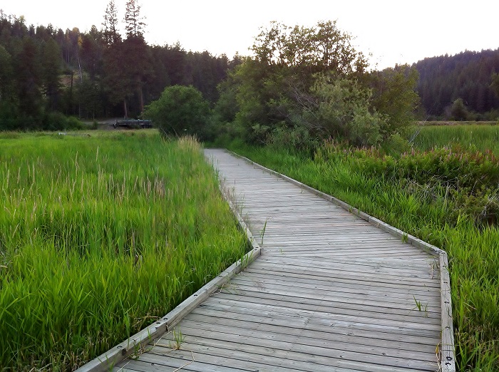 I have included a few pictures of the boardway. It was very beautiful here but not many birds to see.