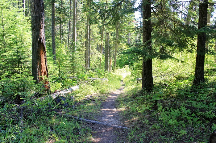 Finally we are on a gentle slope back to the split in the trails and our truck.
