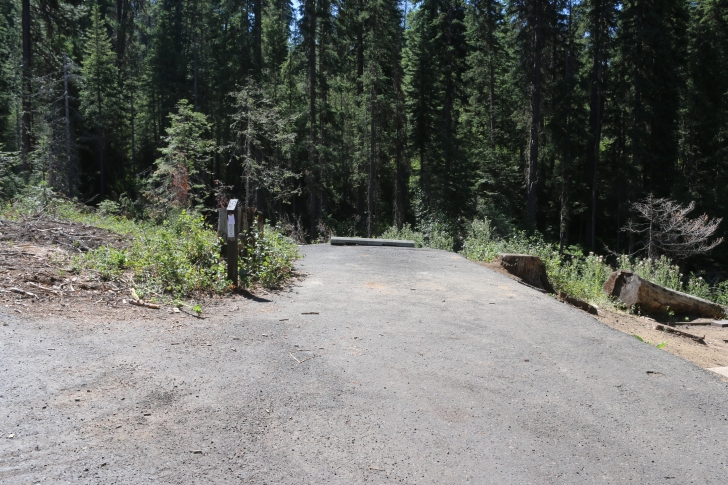 Camping at Hollywood Point Campground on Sagehen reservoir.