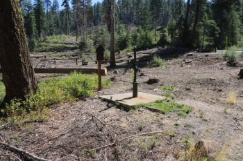 Camping at Hollywood Point Campground on Sagehen reservoir.
