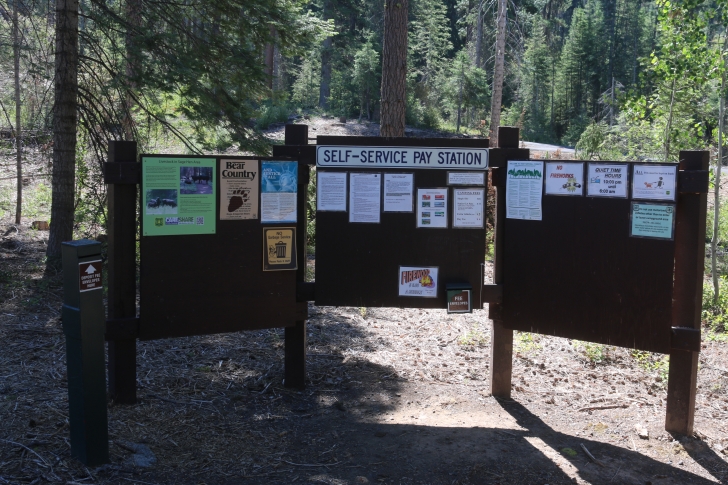 Camping at Hollywood Point Campground on Sagehen reservoir.