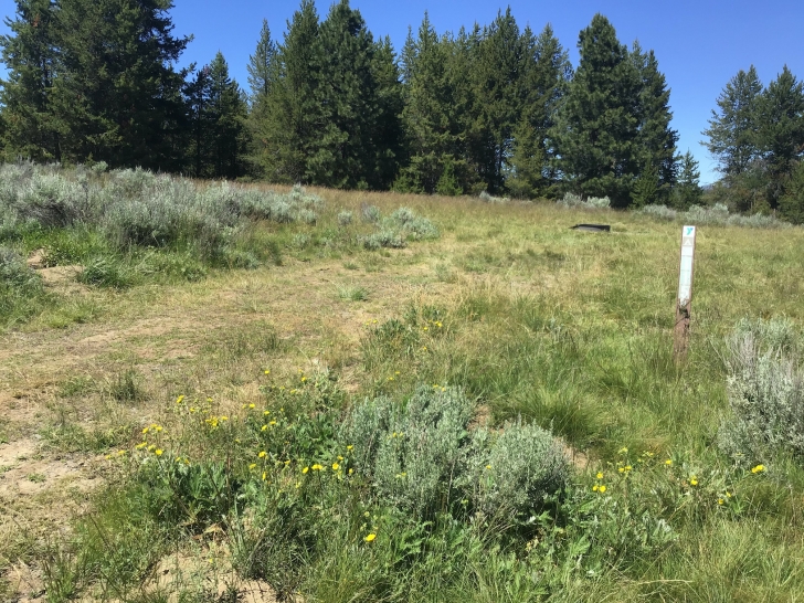 Camping in Idaho at Horsethief Reservoir Campground.