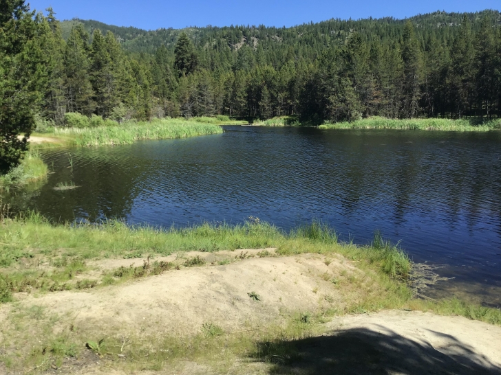 Just across the road from campsite 2 is this nice little fishing access point. There is another even better point by campsite 3.
