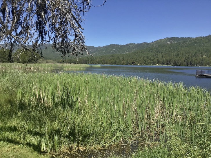 Camping in Idaho at Horsethief Reservoir Campground.