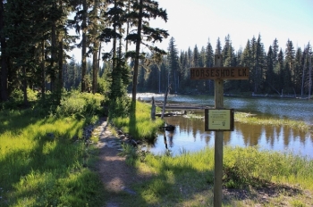 Camping in Washington's Horseshoe Lake Campground.