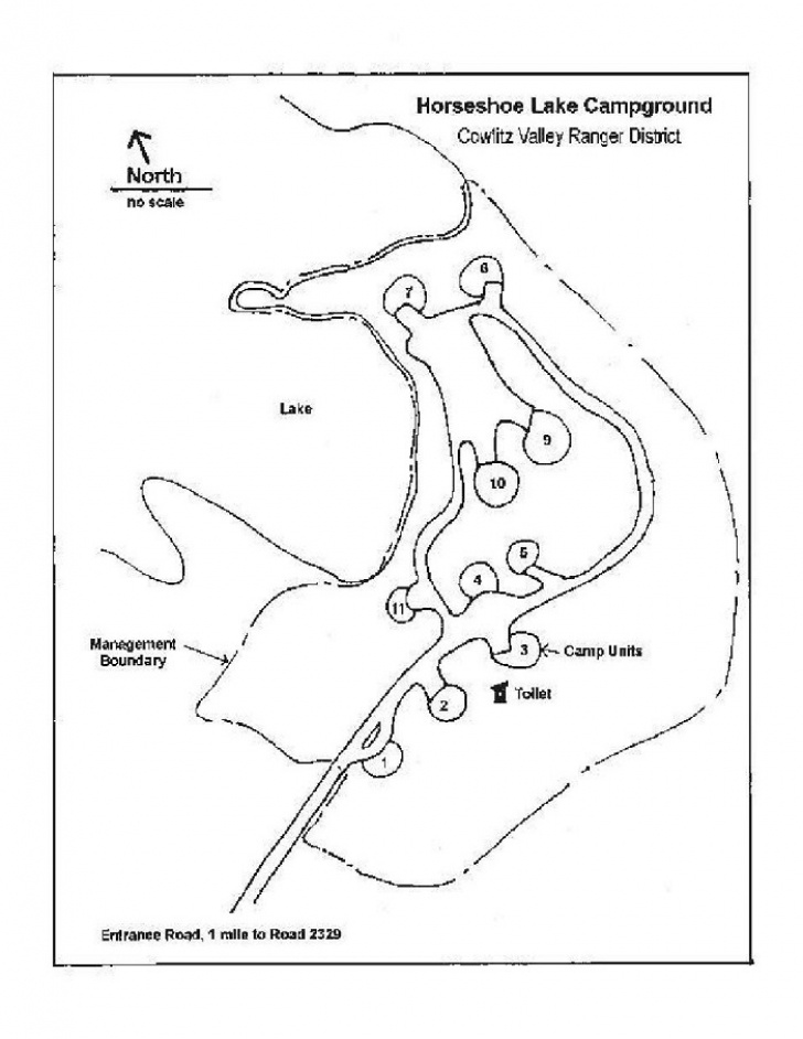 Camping in Washington's Horseshoe Lake Campground.