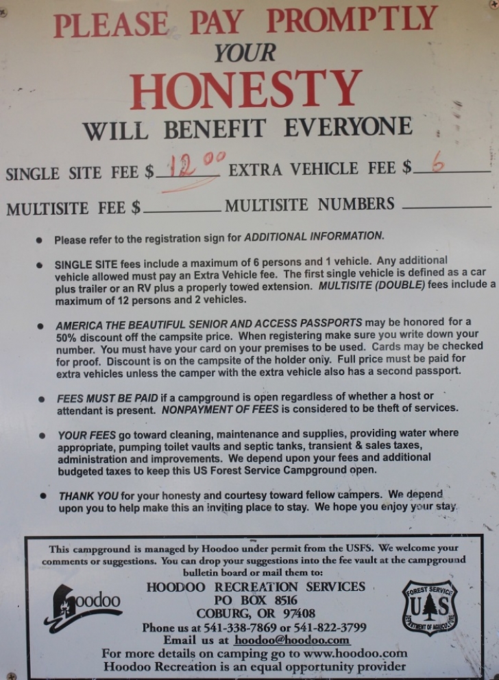 Camping in Washington's Horseshoe Lake Campground.