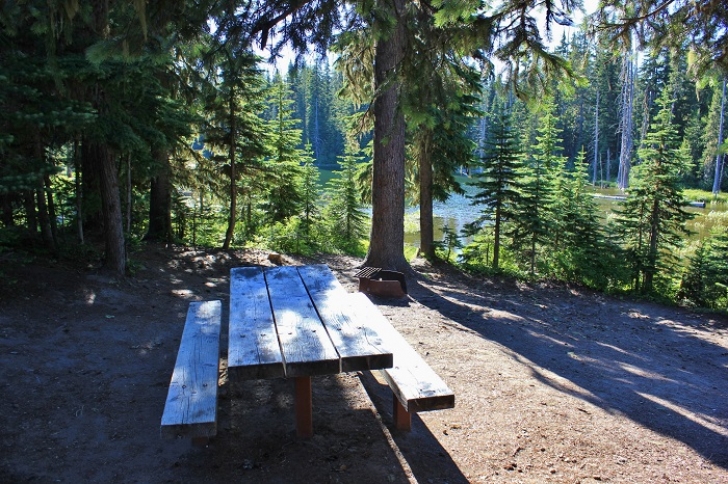 Camping in Washington's Horseshoe Lake Campground.