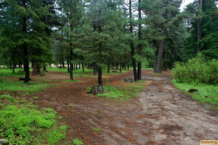 Ice Springs Campground for those who love camping in Idaho.