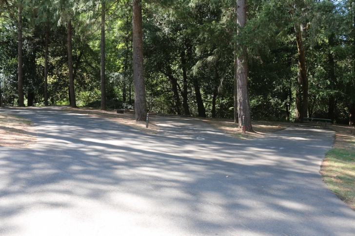 A picture of Indian Mary Park.