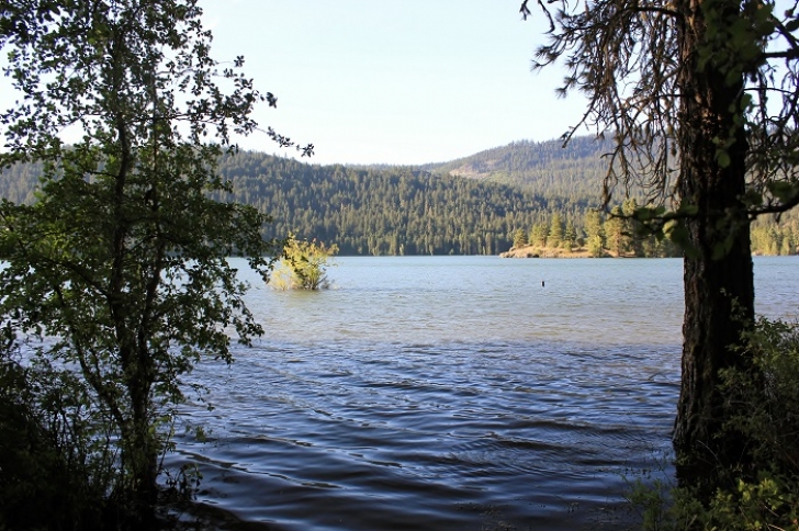 Camping in Washingtons Indian Creek Campground.