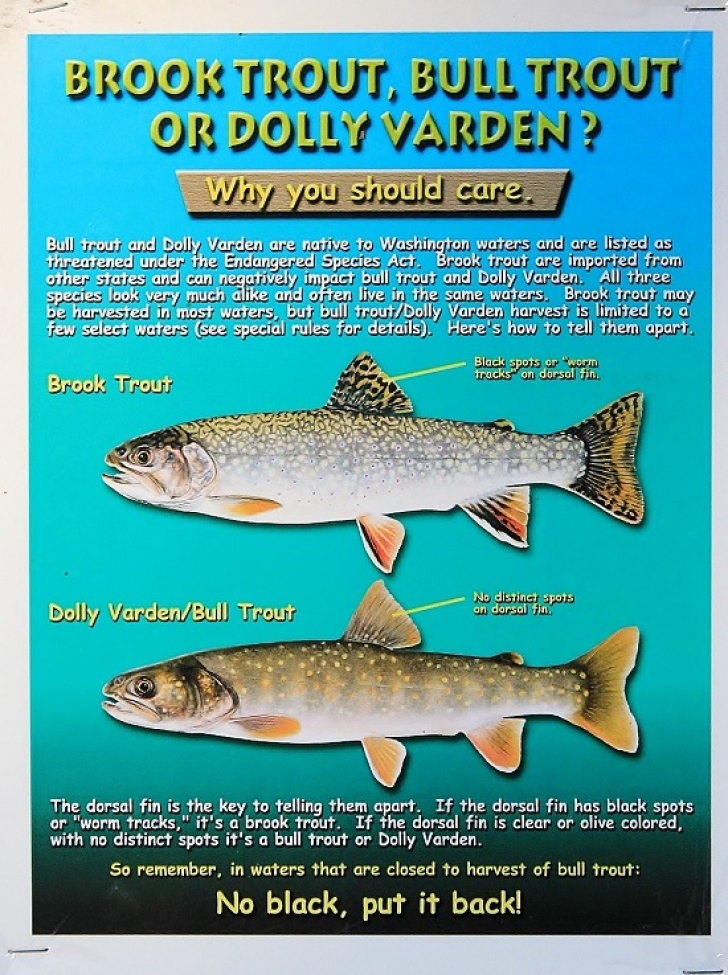 Camping in Washingtons Indian Creek Campground.