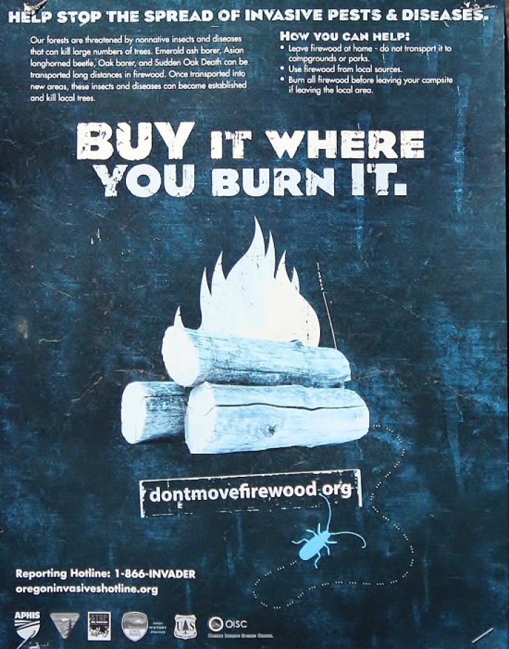 Camping in Washingtons Indian Creek Campground.