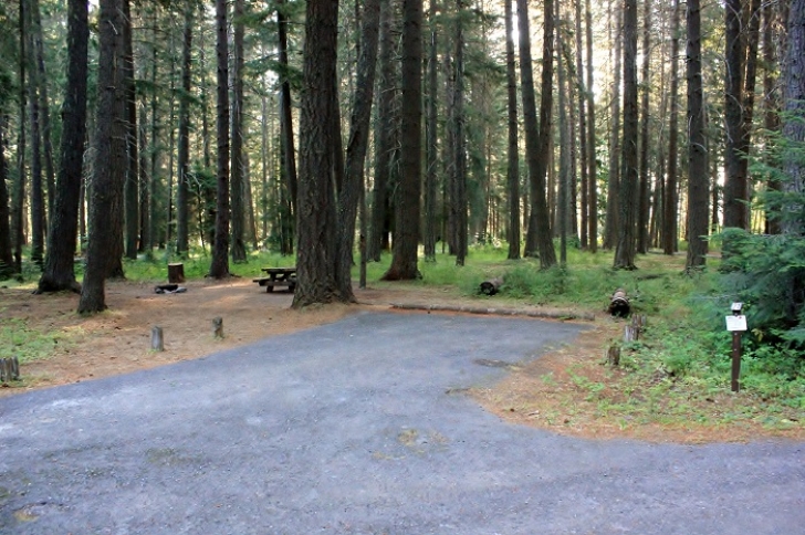 Camping in Washingtons Indian Creek Campground.