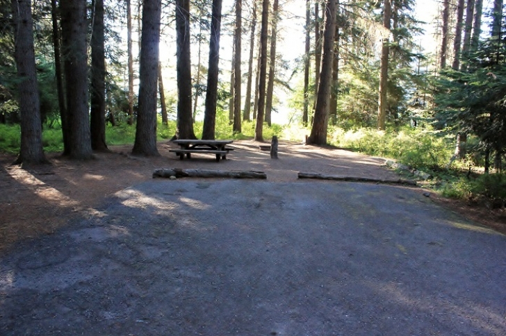 Camping in Washingtons Indian Creek Campground.