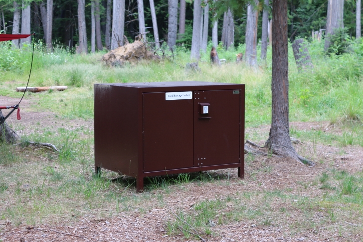 The campsites in Loop E have bear resitant food storage units. 
