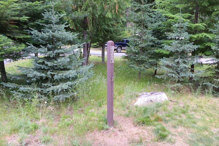 You can hook your dog leash here.
