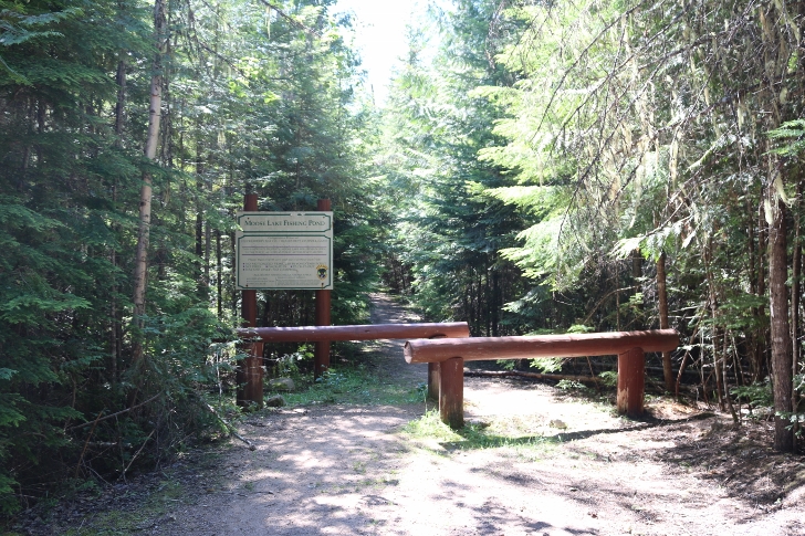Walk down this path to a T and take the right path to Moose Lake Fishing Pond.
