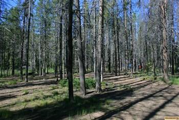 This is a portion of the map at the trailhead at Iron Creek Campground.
