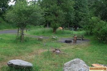 Johnson Bar Campgorund on the Selway River