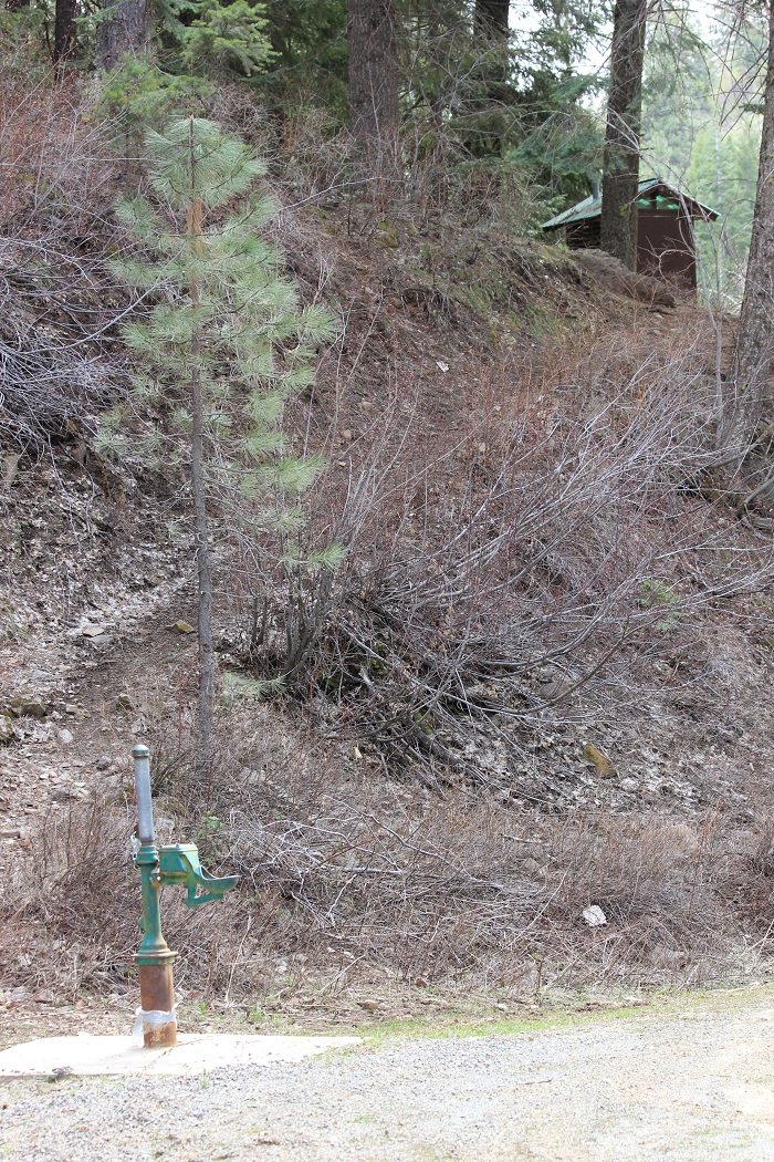 Paradise Campground on Mann Creek north of Weiser, Idaho.