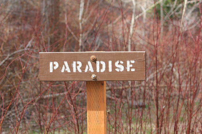 Paradise Campground on Mann Creek north of Weiser, Idaho.