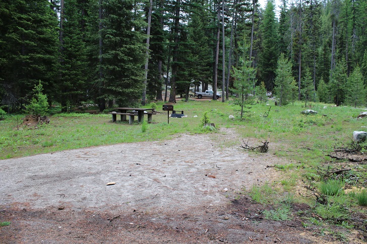 Kennally Creek Forest Camp - Campsites