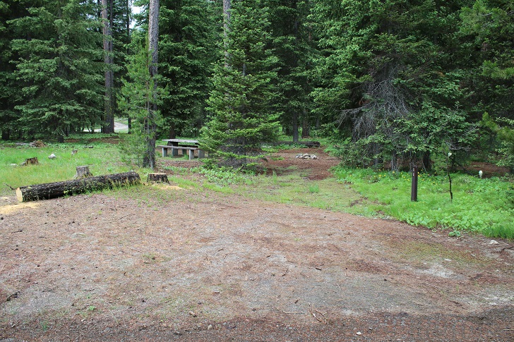 Kennally Creek Forest Camp - Campsites